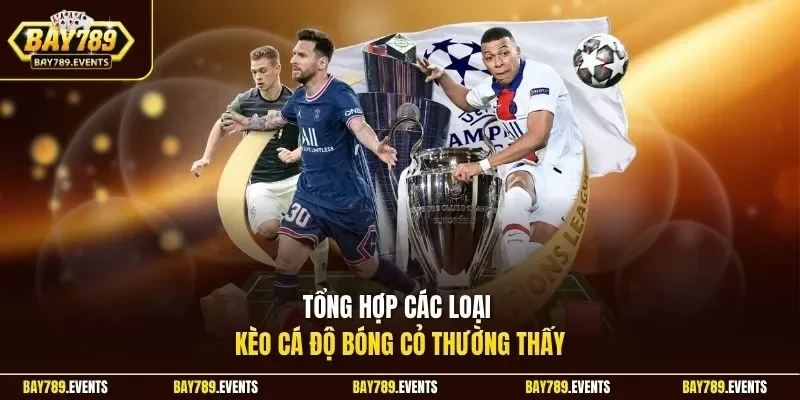 Tổng hợp các loại kèo cá độ bóng cỏ thường thấy 